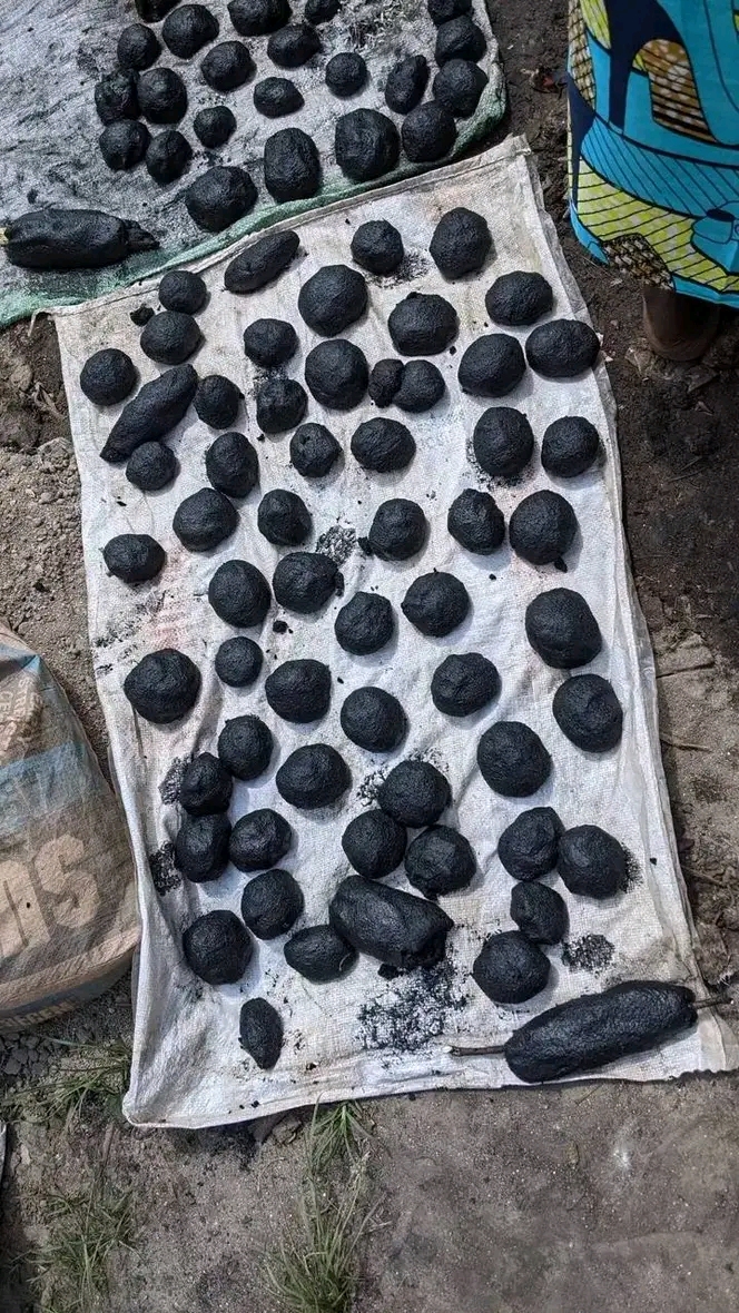 Résilience et Innovation